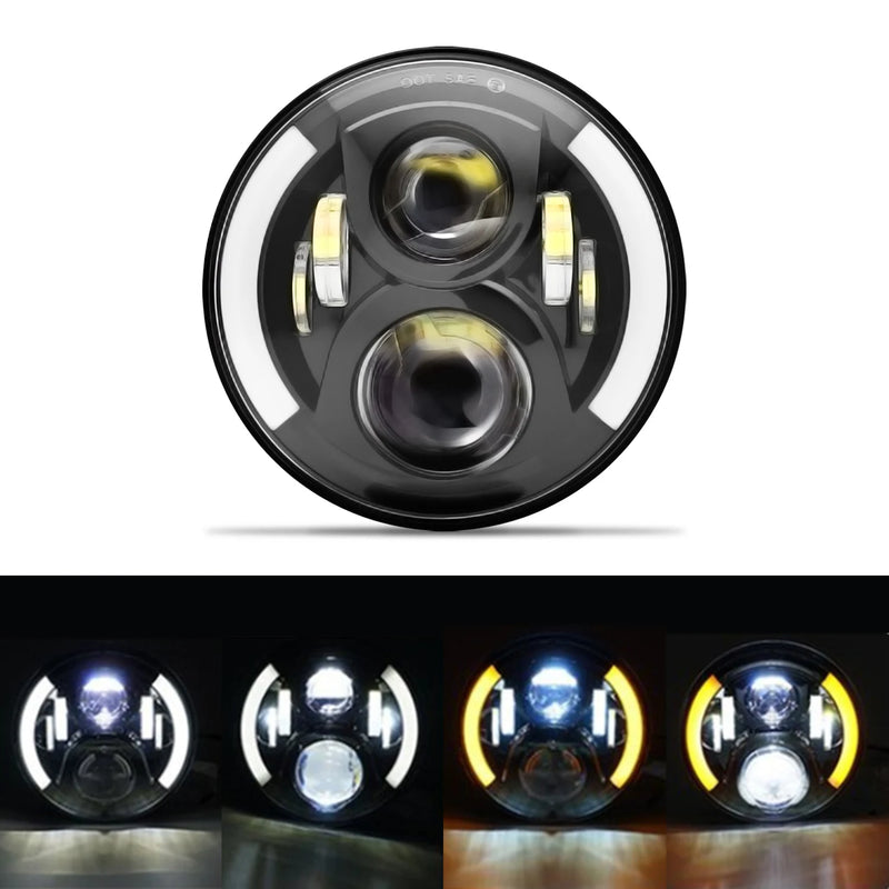43040632602821