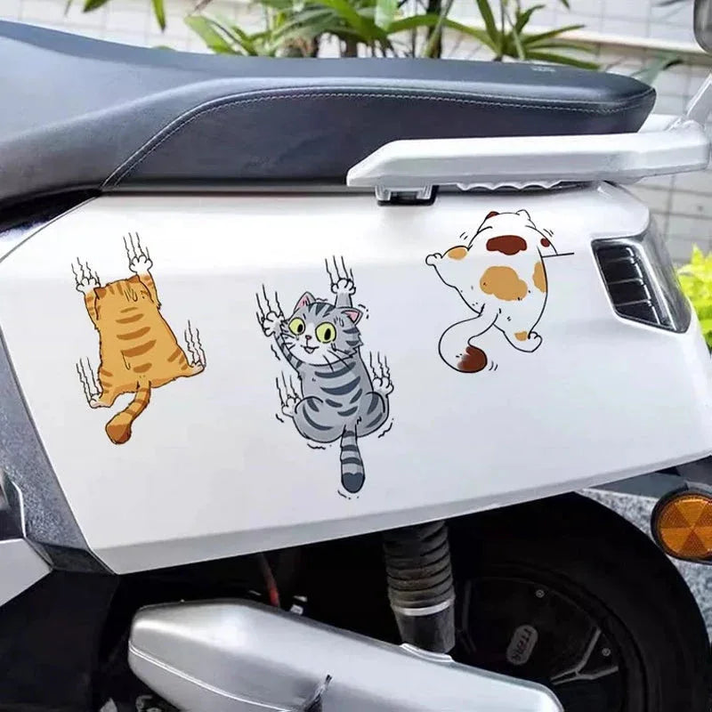 Adesivo de Carro Engraçado de Três Gatos