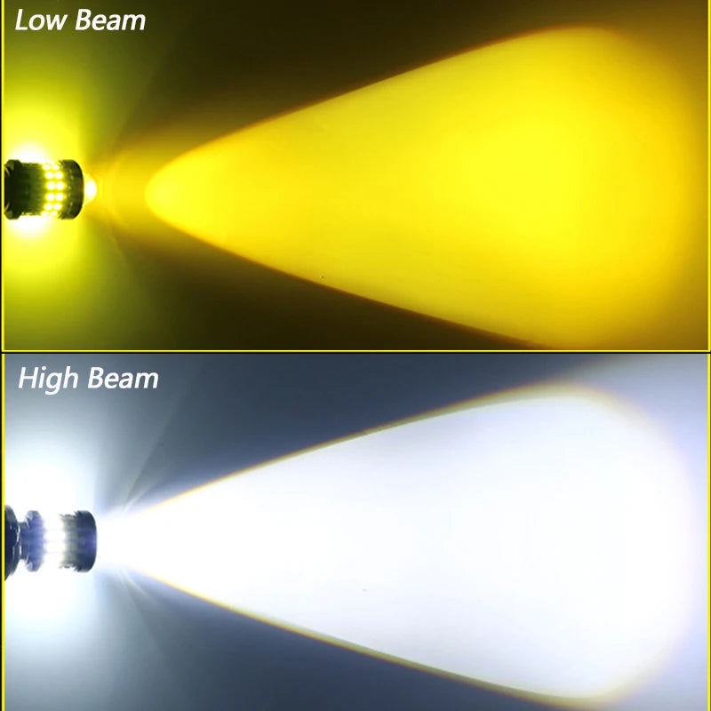 42848010371269|42848010404037