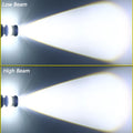 42848010305733|42848010338501