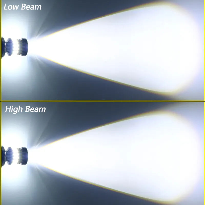 42848010305733|42848010338501